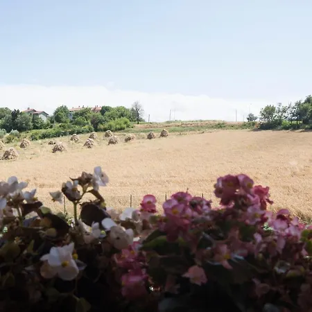 Di Agricoltori 3*