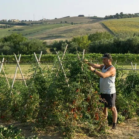 Couette-café Di Agricoltori San Costanzo